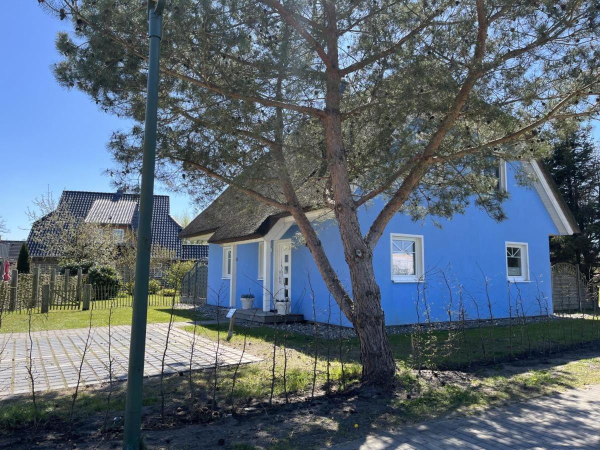 Ferienhaus De Niege Leive Born Exteriér fotografie
